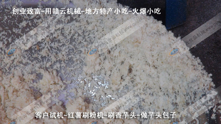 紅薯刷粉機(jī)-刷芋頭粉-芋頭包子-客戶(hù)試機(jī)-贛云機(jī)械
