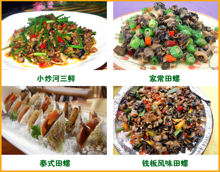 ��������������ʳ����������