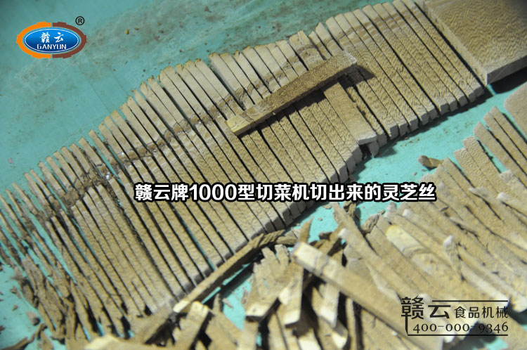 切菜機切出來的靈芝絲