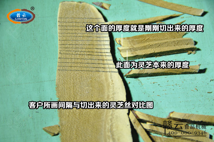 將切出來的靈芝絲與客戶所畫要有對比