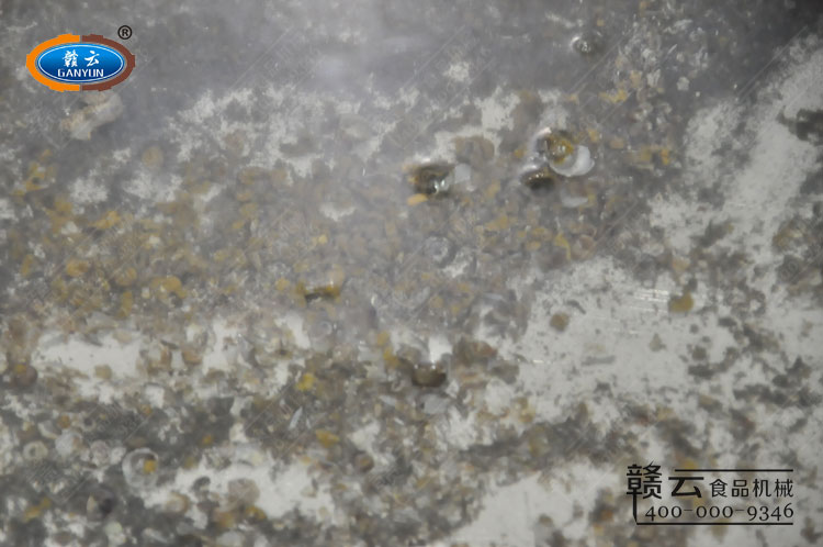 田螺剪尾機(jī)剪出來(lái)的田螺尾