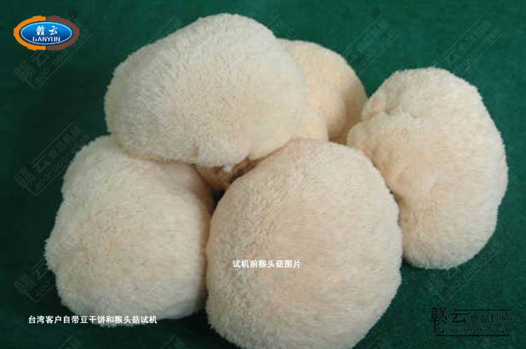 �_���͑��Ԏ��ĺ��^���D