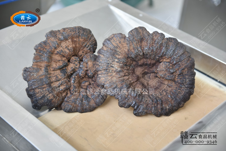 �͑��]�ĵ��`֥