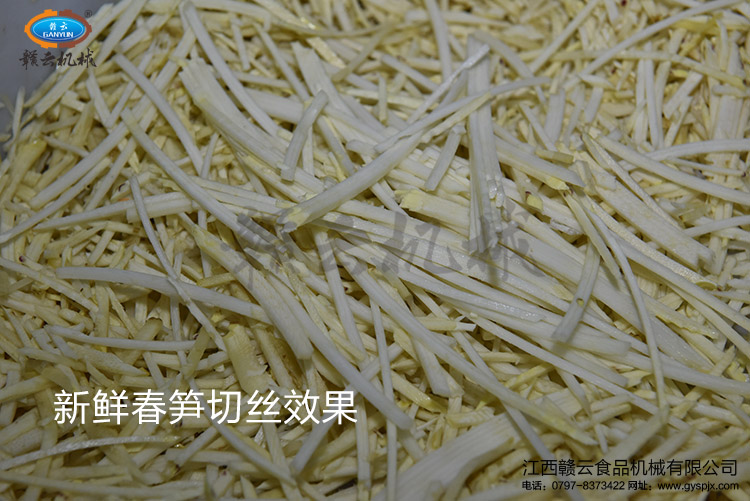 離心切絲機(jī)切鮮筍絲