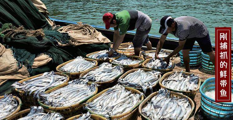 �a(ch��n)Ʒչ�d