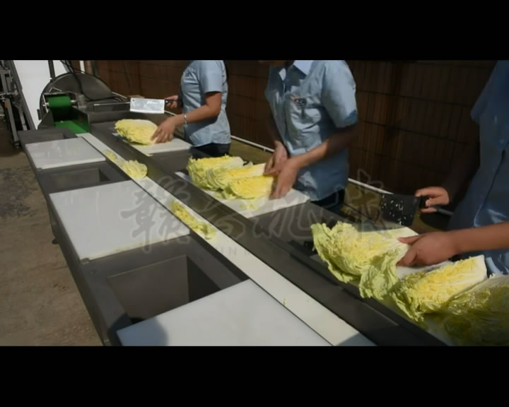 ���˼ӹ���ˮ��