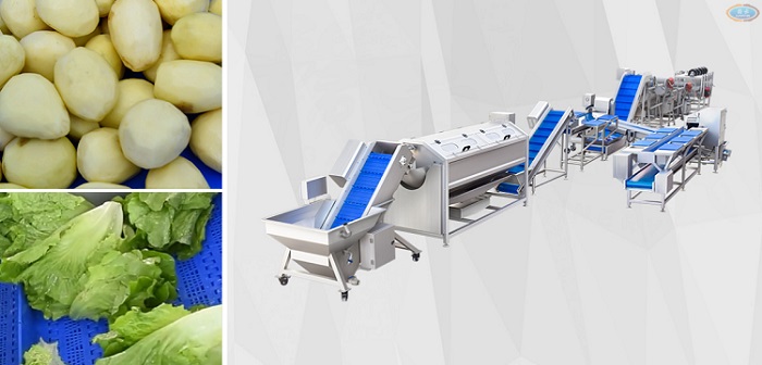 雙用凈菜流水線 雙用凈菜流水線